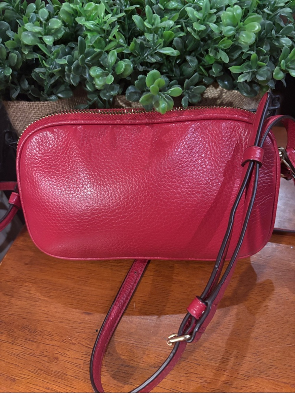 Coach Pebbled Leather Double Zip Crossbody Pouch EUC - Picture 5 of 9